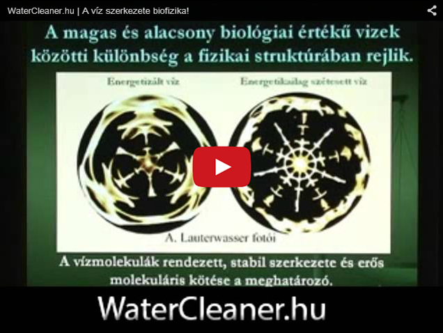 a viz szerkezete biofizika
